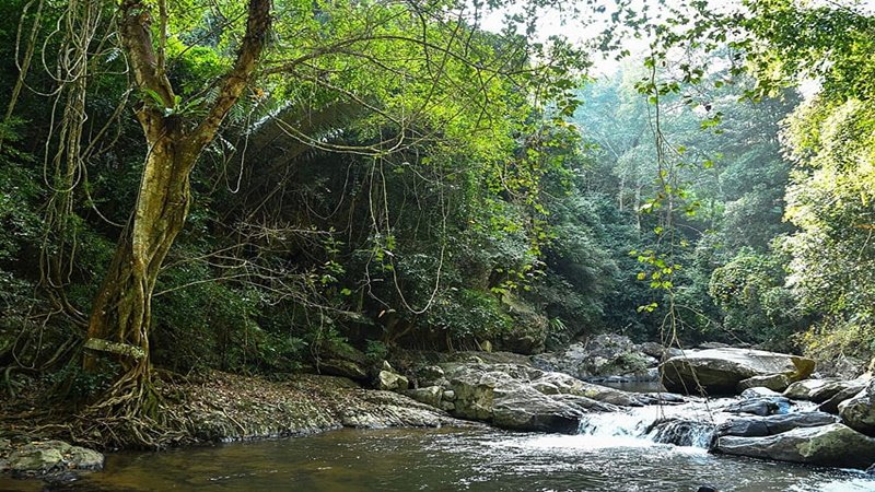 desktop-wallpaper-thailand-pala-u-waterfall-nature-waterfalls-parks-thailand-forest