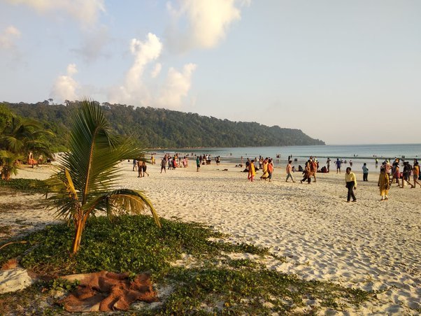 main-qimg-621e6782f5cd1a83093917fb49cd2564-pjlq